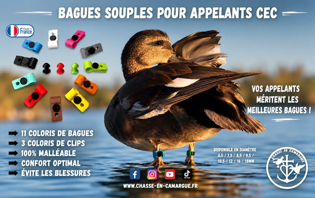 Photo by Chasse en Camargue on July 08, 2026. May be an image of goose, duck, mallard, baguette and text that says 'rrance BAGUES SOUPLES POUR APPELANTS CEC VOS APPELANTS MÉRITENT LES MEILLEURES BAGUES 11 COLORIS DE BAGUES 3 COLORIS DE CLIPS 100% MALLÉABLE CONFORT OPTIMAL ÉVITE LES BLESSURES DISPONIBLE DISPONIBLEENDIAMÈTRE EN DIAMÈTRE 6,5/7,5 6,5/7,5/8,5/9,5/ /8,5 9,5 10,5/12/16/18MM 5/12/16 18MM 10,5 CISSE EN CORIATIE f WWW.CHASSE-EN-CAMARGUE.FR -CAMARGUE.FR'.