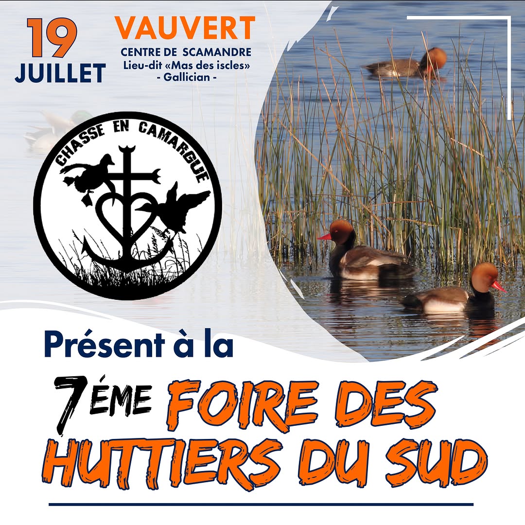 Photo by La foire des huttiers du sud on July 15, 2026. May be an image of grebe, duck, poster and text that says '19 VAUVERT CENTRE CENTREDESCAMANDRE DE SCAMANDRE JUILLET Lieu-dit Lieu -dit Mase des iscl iscles» Gallician CHASSE ホ ទមរើម្ម្ម EN Présent à la 7ÉME FOIRE DES HUITTIERS DU SUD'.