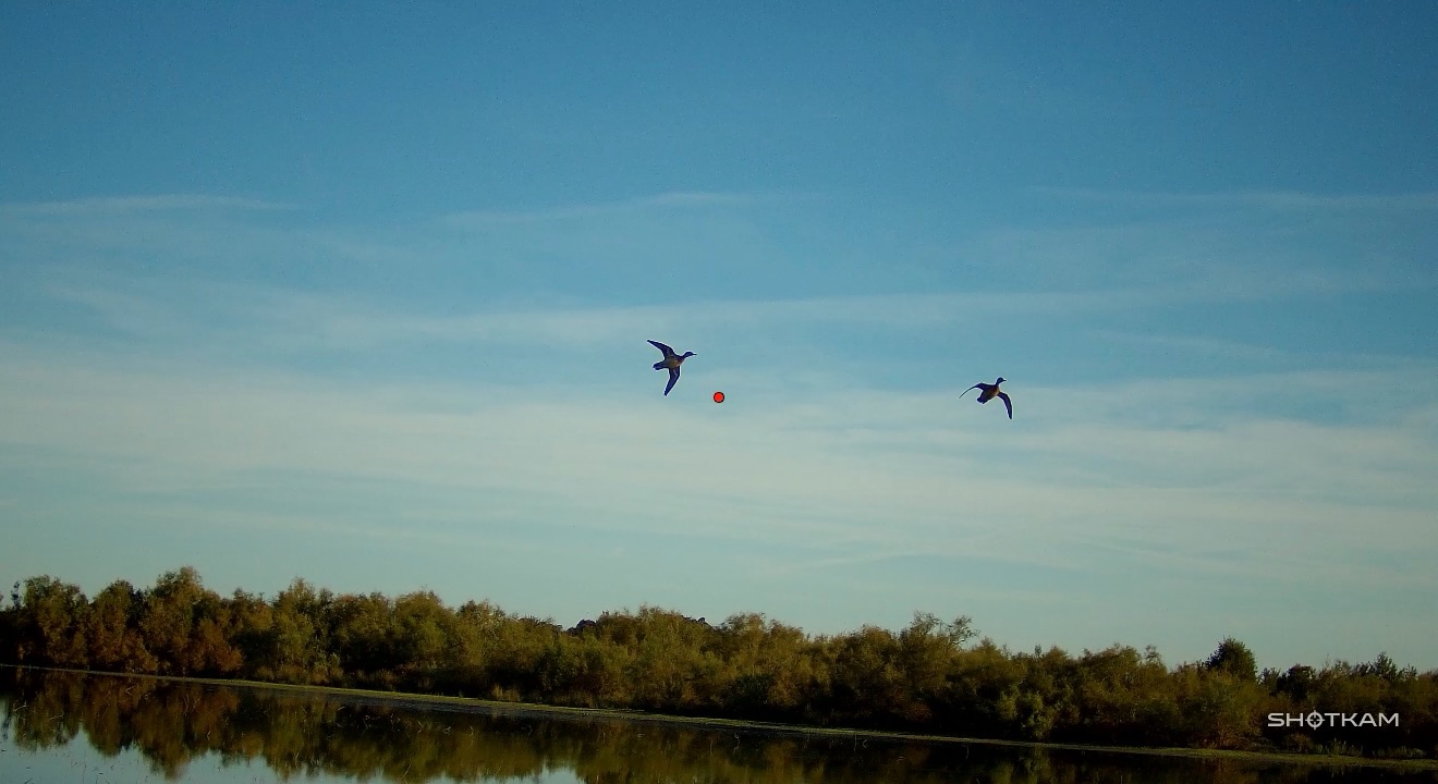 Photo by Chasse en Camargue on September 20, 2026.
