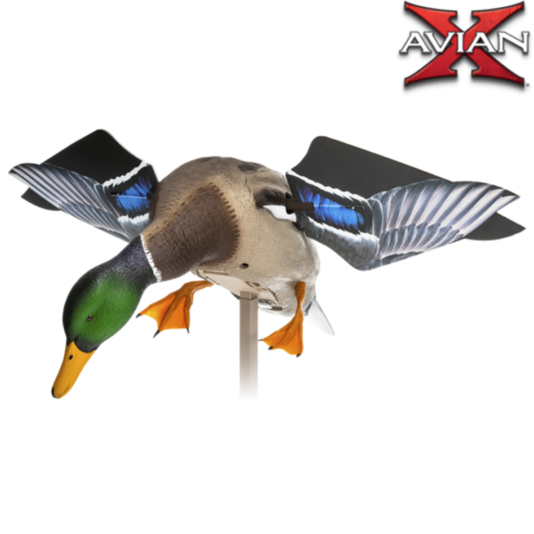 CANARD COLVERT A AILES TOURNANTES ELECTRIQUES POWERLIGHT AVIANX