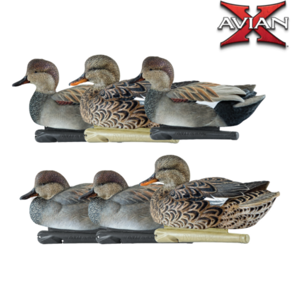 FORMES DE CANARD CHIPEAU TOPFLIGHT AVIANX