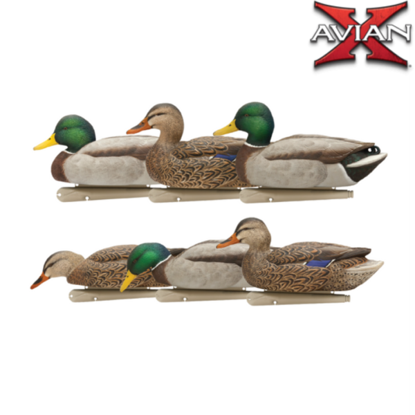 FORMES DE CANARD COLVERT FUSION TOPFLIGHT AVIANX