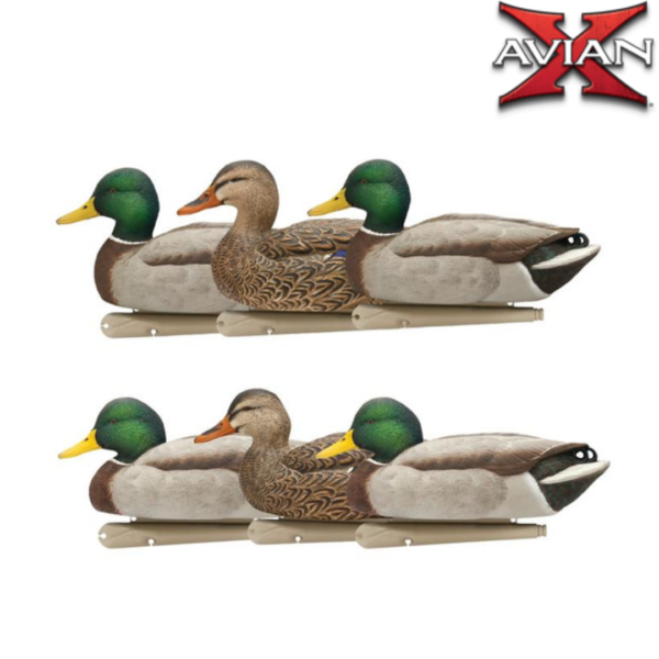 FORMES DE CANARD COLVERT OPEN WATER TOPFLIGHT AVIANX