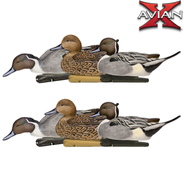 FORMES DE CANARD PILET TOPFLIGHT AVIANX