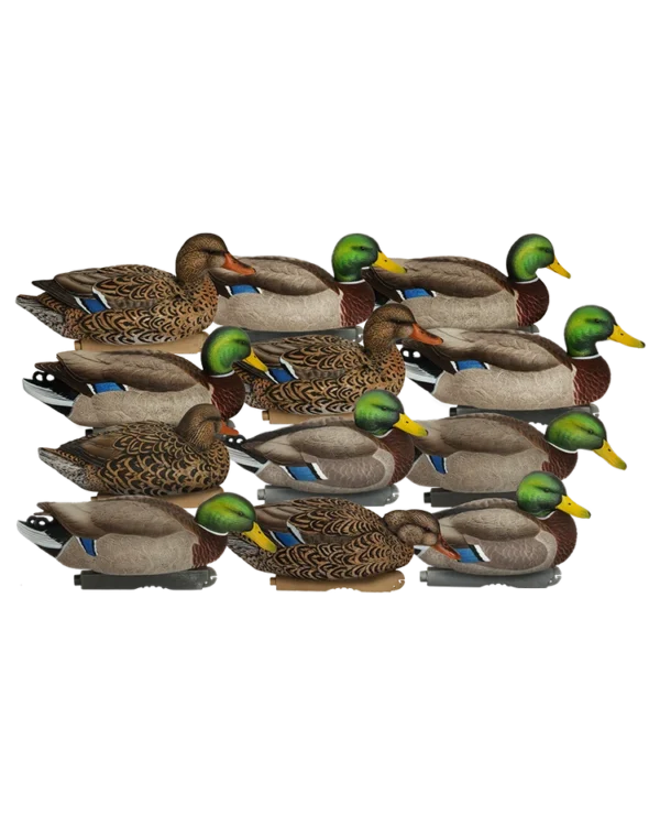 Formes de canard colvert Pro Grade XD Series HARVESTER GHG