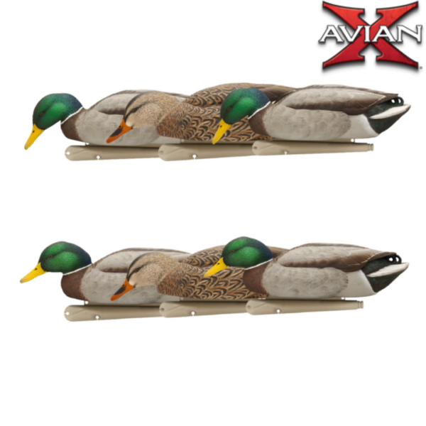 Formes de canard colvert TOPFLIGHT BACK WATER AVIANX