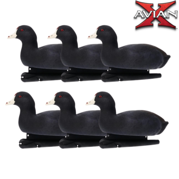 Formes de foulques TOPFLIGHT AVIANX