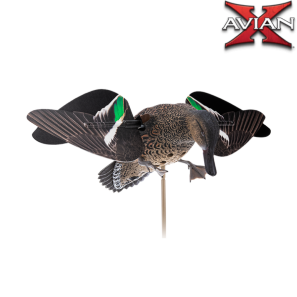 Sarcelle à ailes tournantes électriques POWERFLIGHT AVIANX