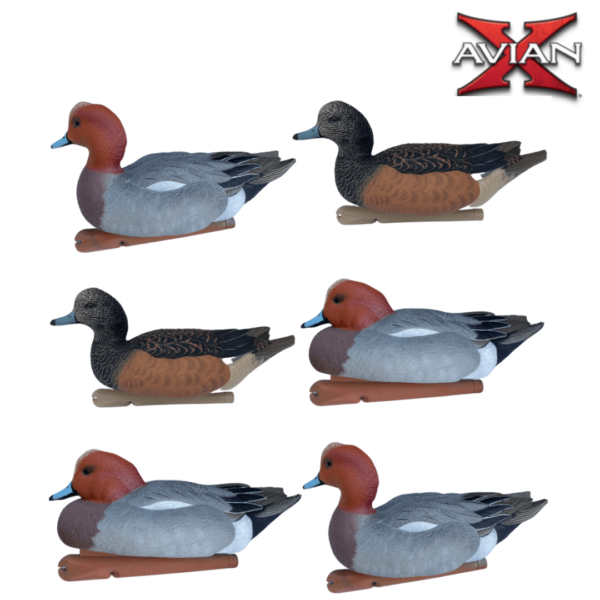 FORMES DE CANARD SIFFLEUR TOPFLIGHT AVIANX