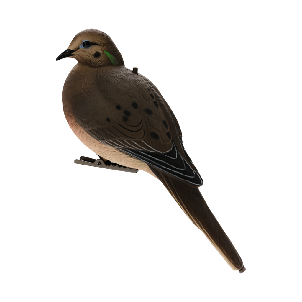 Formes de tourterelle HD AVIANX