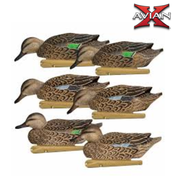 Formes de sarcelle Early Season AvianX
