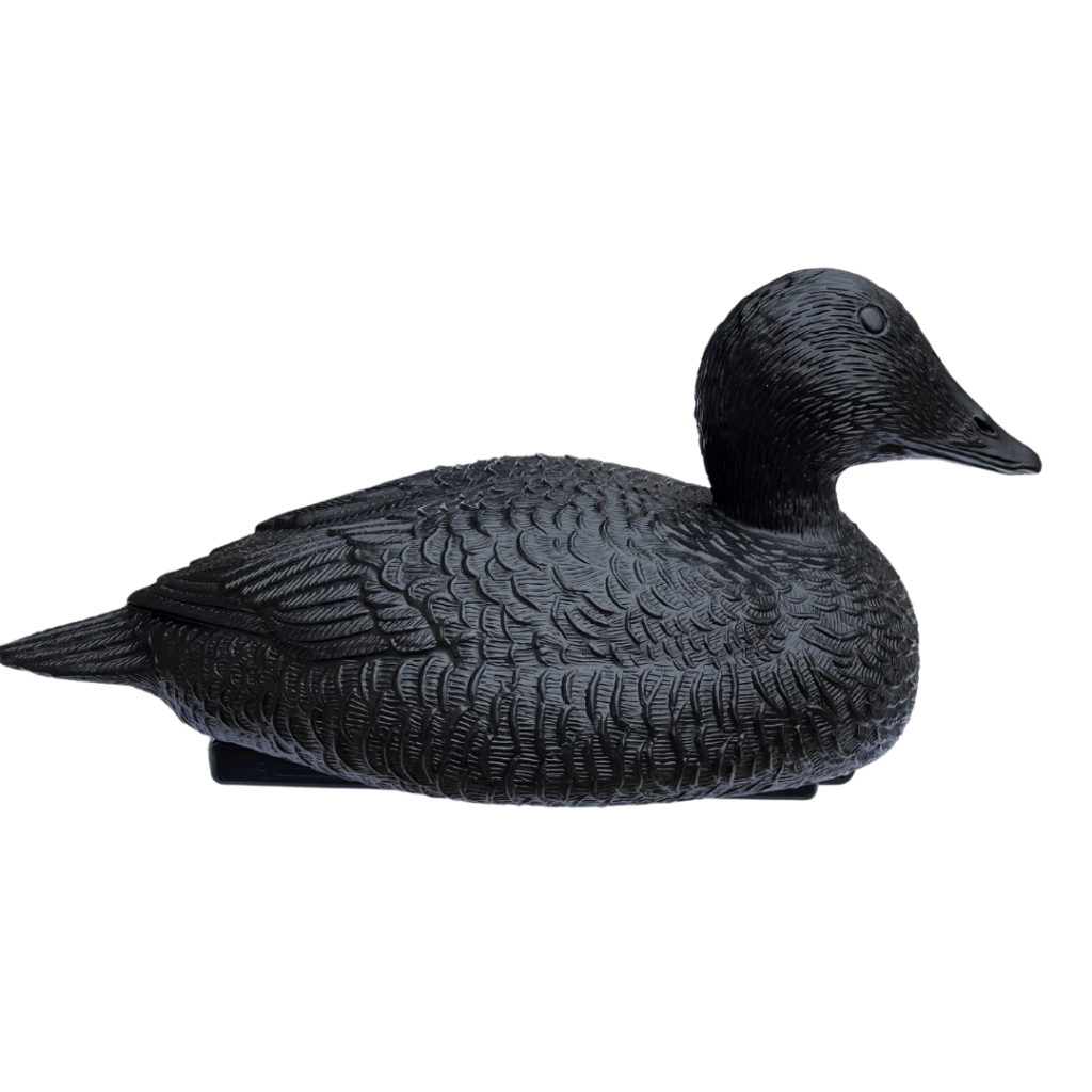 Forme deider noire 4