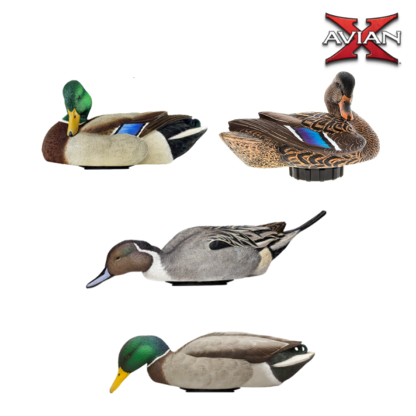 Forme de canard en mouvement POWER SHAKER AVIANX