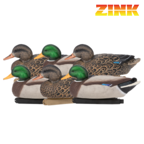 FORMES DE CANARD COLVERT ZINK