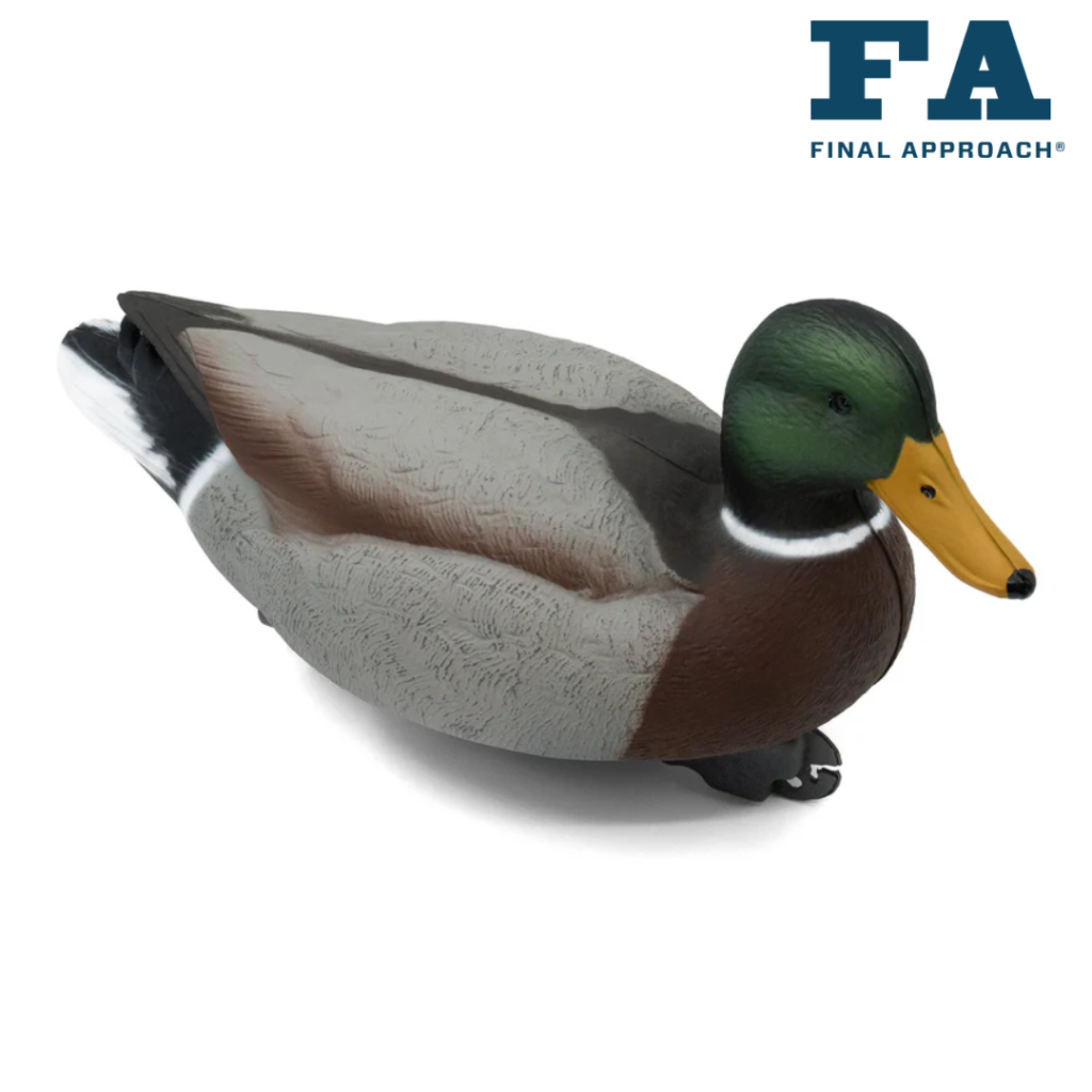 FORMES DE COLVERT LAST PASS FINAL APPROACH