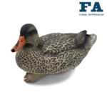 FORMES DE COLVERT LAST PASS FINAL APPROACH