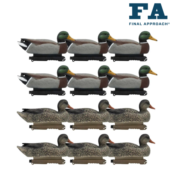 FORMES DE COLVERT LAST PASS x12 FINAL APPROACH