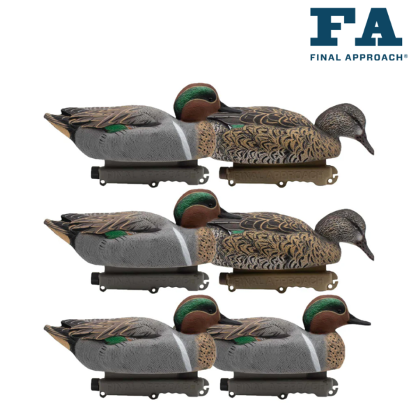 FORMES DE SARCELLE FINAL APPROACH