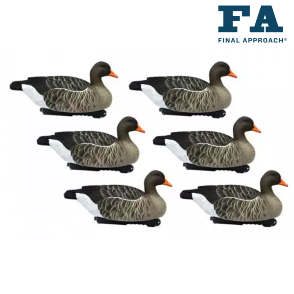 FORMES D OIE CENDREE FLOTTANTE LAST PASS FINAL APPROACH