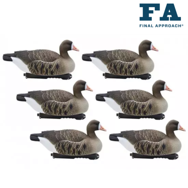 FORMES D OIE RIEUSE FLOTTANTE LAST PASS FINAL APPROACH