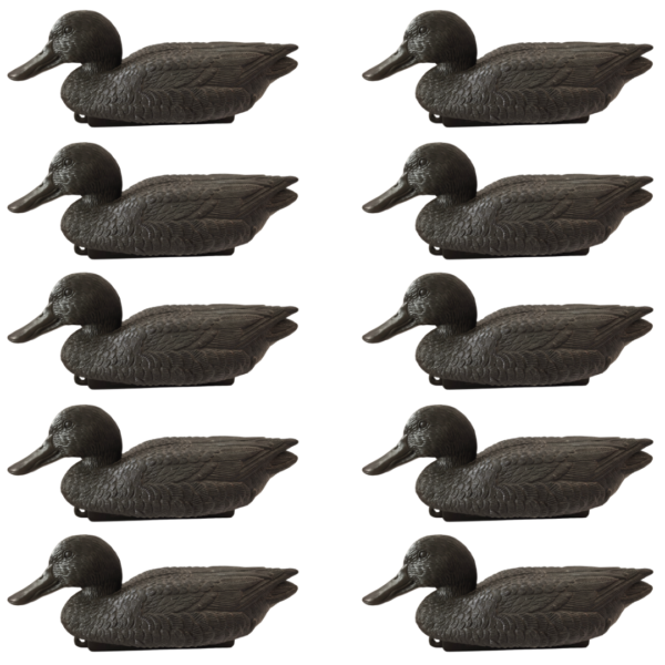 Formes de canard souchet moussé noir CHASSE EN CAMARGUE