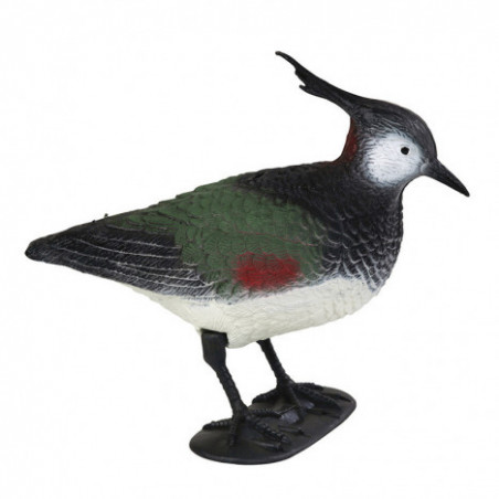 Forme de vanneau huppé